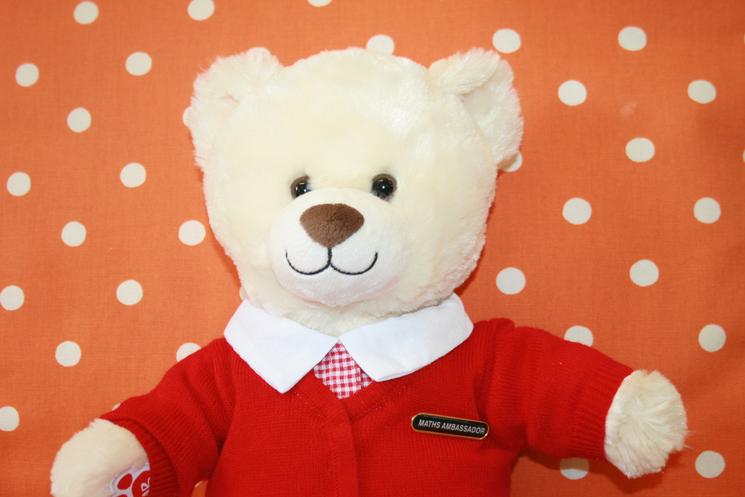 Picture of Philippa - a maths teddy bear