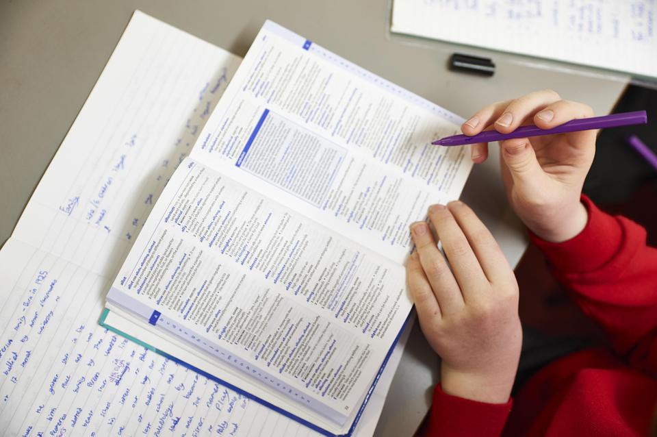 Dictionary being used by pupil